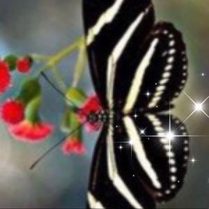 Meet your Posher, Diana marcela